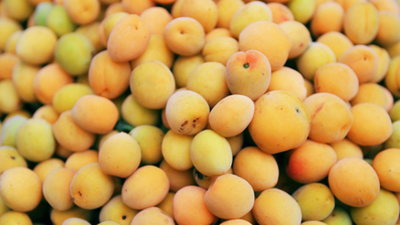 Loại quả giàu protein sắp vào mùa giúp giảm mỡ hiệu quả 2