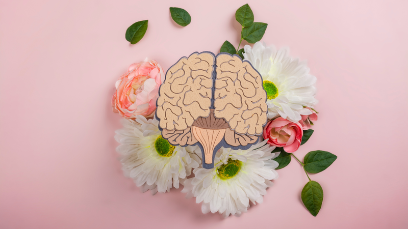 Loại vitamin giúp cải thiện tập trung và trí nhớ, bạn biết chưa? 2