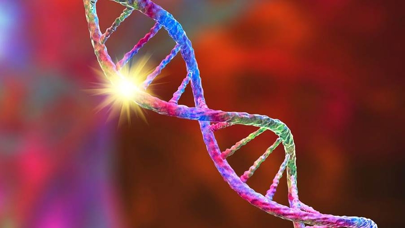 Loạn dưỡng cơ Duchenne là gì? Nguyên nhân, triệu chứng và cách điều trị 5