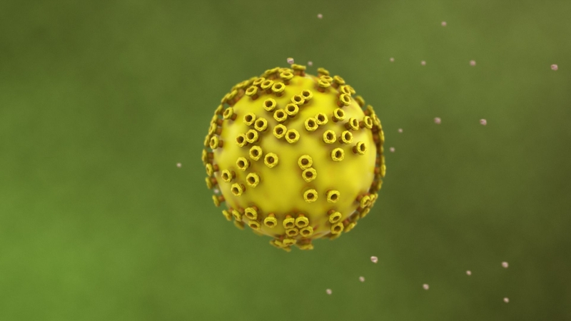 Nguyên nhân chính gây loạn sản hậu môn là nhiễm virus papilloma ở người (HPV)