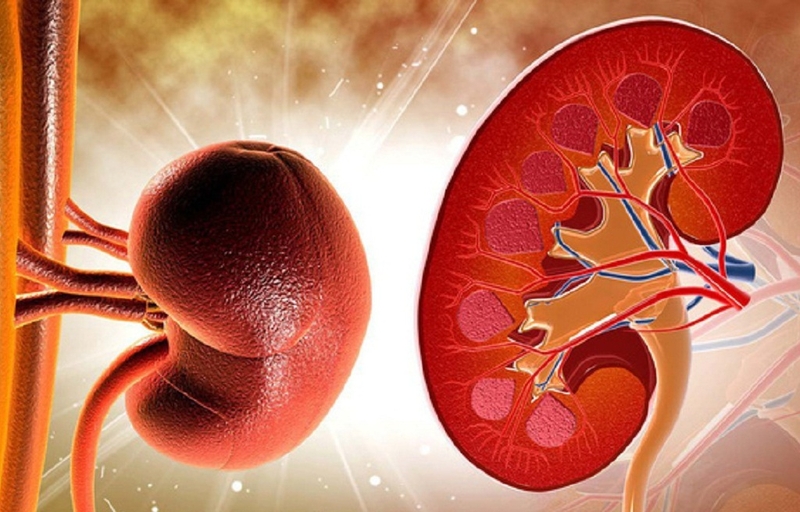 Lọc màng bụng: Các phương pháp lọc màng bụng, chỉ định và chống chỉ định 3