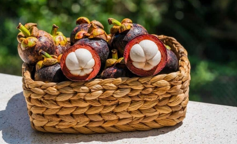 Lợi ích bất ngờ của măng cụt không nên bỏ qua 1