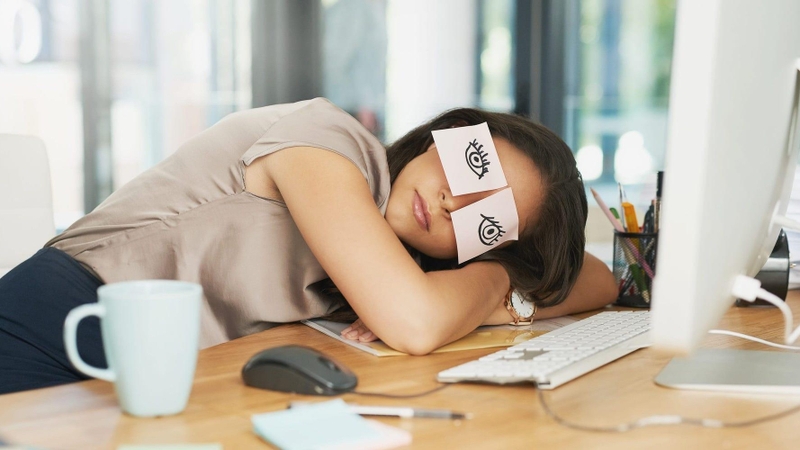 Lợi ích bất ngờ từ giấc ngủ trưa tại văn phòng 2
