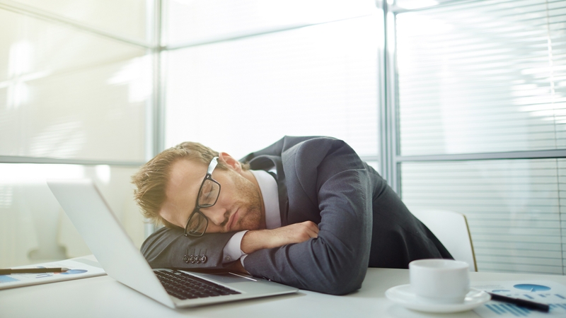 Lợi ích bất ngờ từ giấc ngủ trưa tại văn phòng 3