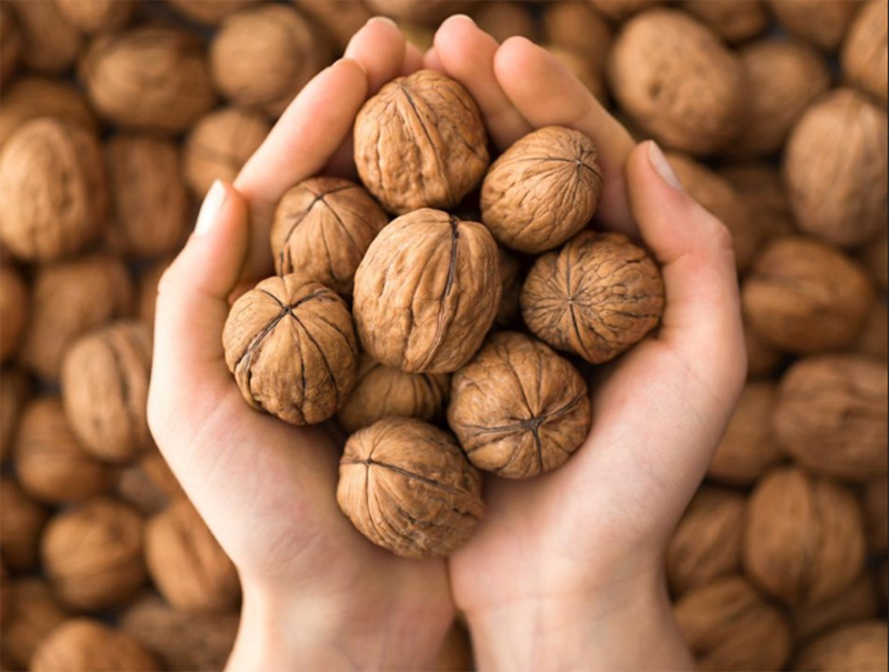Lợi ích bất ngờ từ thành phần dinh dưỡng của hạt óc chó 1