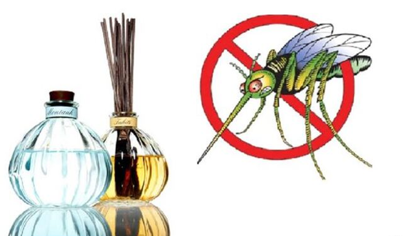 Hương thơm mạnh mẽ của tinh dầu khuynh diệp giúp xua đuổi côn trùng