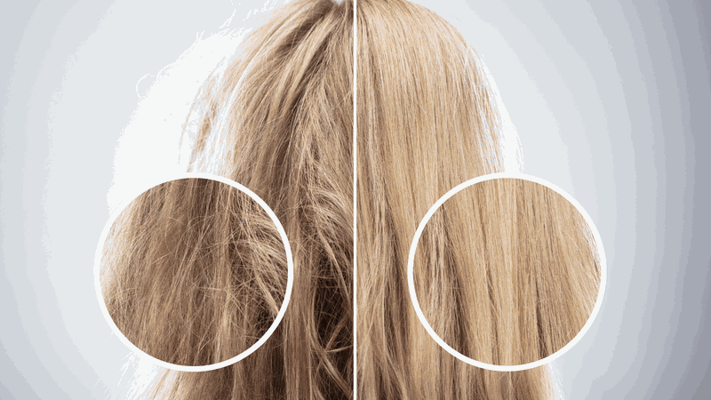 Lợi ích của quả bơ đối với mái tóc 3