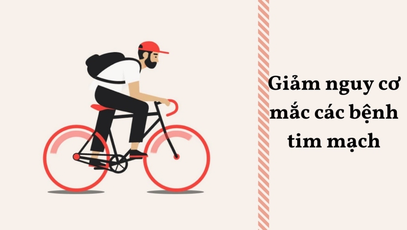 lợi ích của việc đạp xe mỗi ngày 3