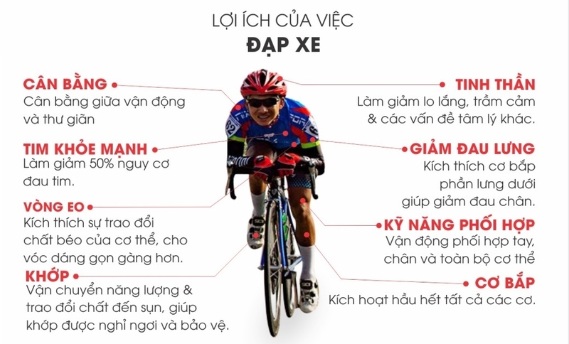 lợi ích của việc đạp xe mỗi ngày 4