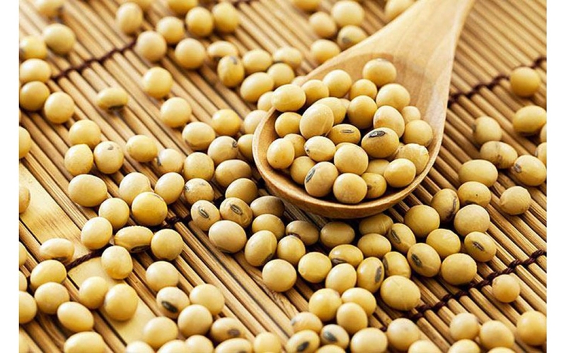 Giải đáp thắc mắc: Ăn hạt đậu nành có tác dụng gì?