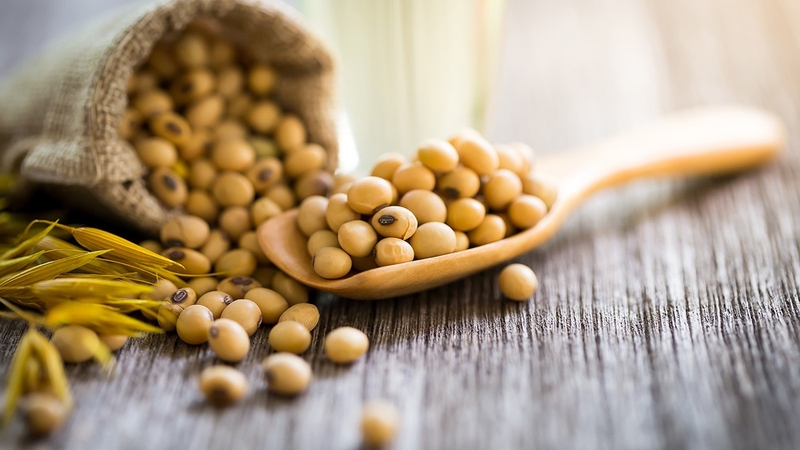 Lợi ích sức khỏe của hạt đậu nành? Ăn hạt đậu nành rang có béo không? 4