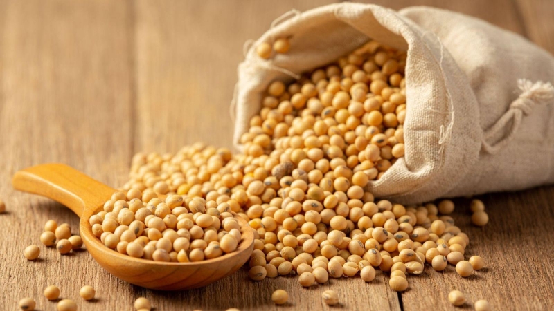 Lợi ích sức khỏe của hạt đậu nành? Ăn hạt đậu nành rang có béo không? 1