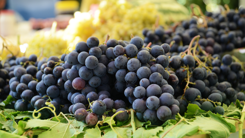 Lợi ích sức khỏe của nho đen mà bạn chưa biết 2