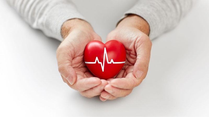 Sữa hạt dẻ cười chứa chất béo không bão hòa có lợi cho tim mạch