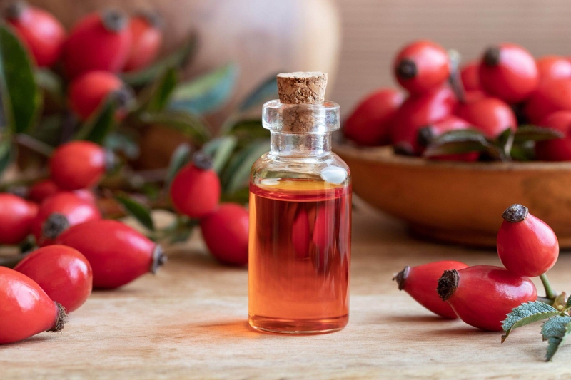 Lợi ích từ rosehip oil trong việc chăm sóc da mà bạn nên biết 2
