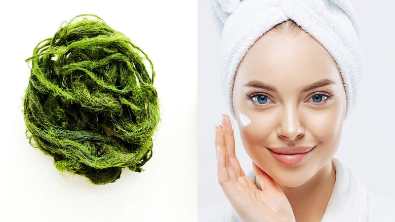 Lợi ích tuyệt vời của seaweed extract cho sức khỏe và sắc đẹp 3