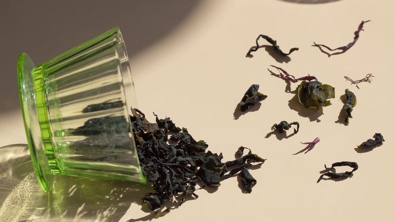 Lợi ích tuyệt vời của seaweed extract cho sức khỏe và sắc đẹp 5