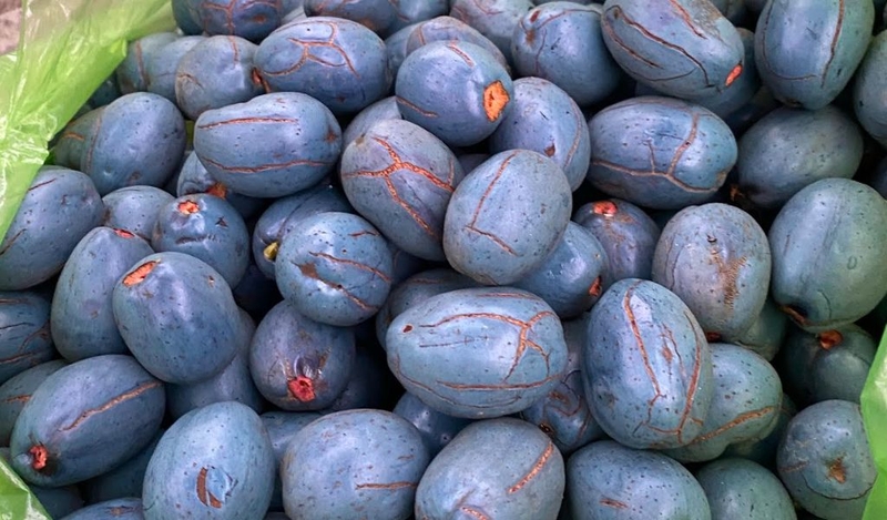 Lợi ích và cách ăn quả cọ thú vị có lẽ bạn chưa biết 1