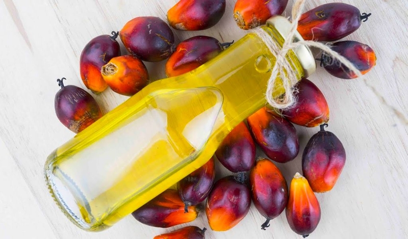 Lợi ích và cách ăn quả cọ thú vị có lẽ bạn chưa biết 2