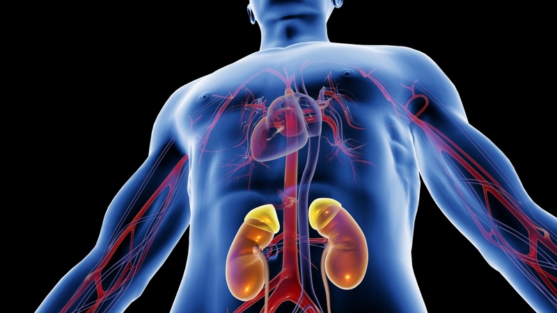 Lợi ích và thách thức trong ghép tạng: Hành trình cứu sống người bệnh 2