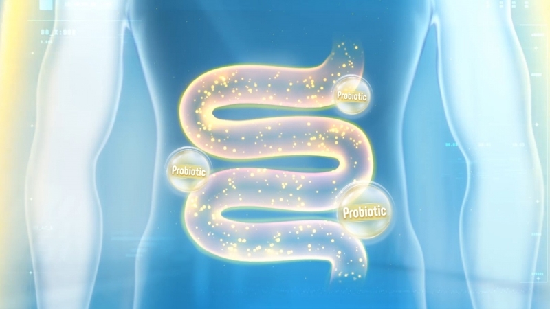 Tại sao cần bổ sung đầy đủ lợi khuẩn đường ruột? 1