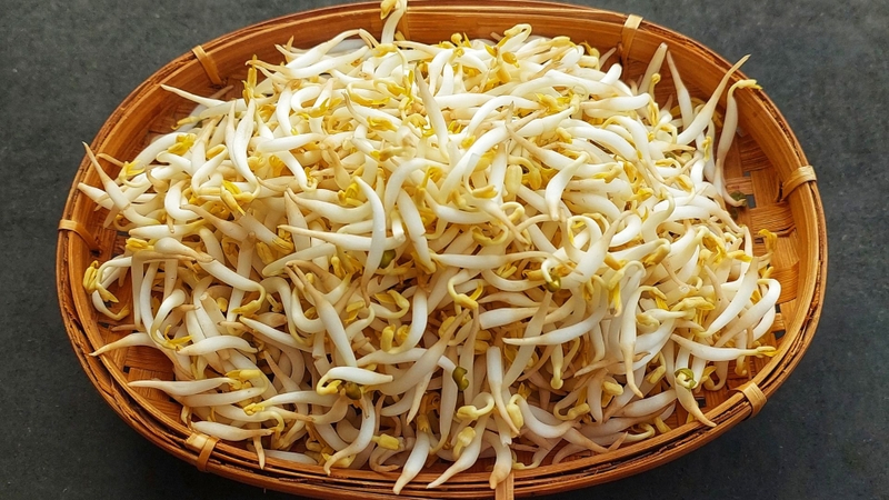 Giữ dụng cụ và nguồn nước sạch khi trồng giá đỗ