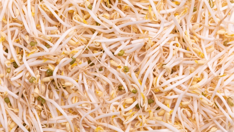 Không nên sử dụng giá đỗ có dấu hiệu hư hỏng