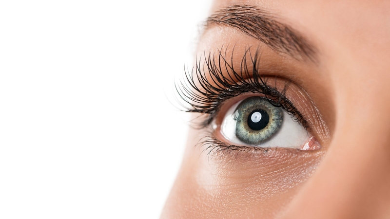 Lông mi và những điều bạn cần biết 3