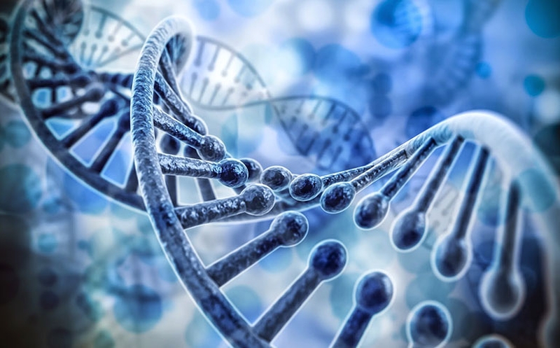 Lông ở đầu ti đàn ông mọc nhiều là do đâu?