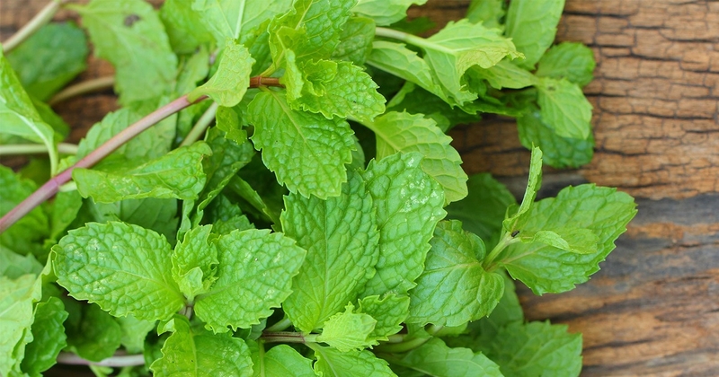 Lông vùng kín bị bạc trắng: Nguyên nhân và cách khắc phục 5