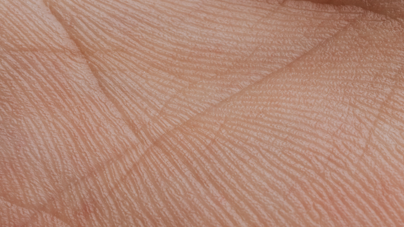 Lớp biểu bì rất quan trọng trong việc ngăn ngừa các tác nhân gây hại từ bên ngoài