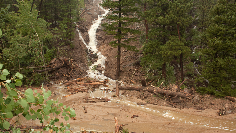 Quan sát thường xuyên môi trường xung quanh, đặc biệt sau mưa dài ngày là yếu tố vô cùng quan trọng