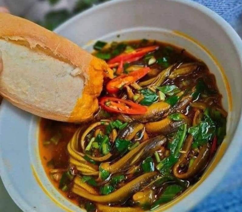 Lươn kỵ rau củ gì và những điều bạn cần lưu ý khi chế biến lươn-3