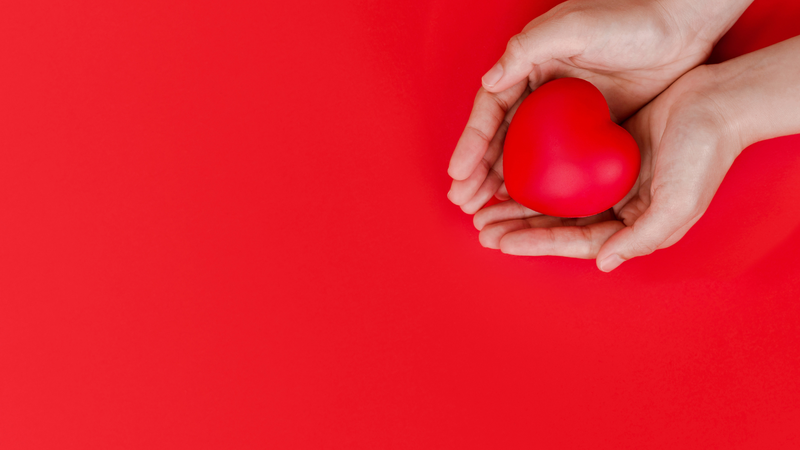 Lươn: Thực phẩm cho sức khỏe hay mối nguy tiềm ẩn? 1