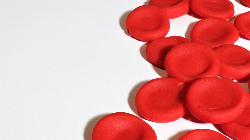 Lươn: Thực phẩm cho sức khỏe hay mối nguy tiềm ẩn? 2