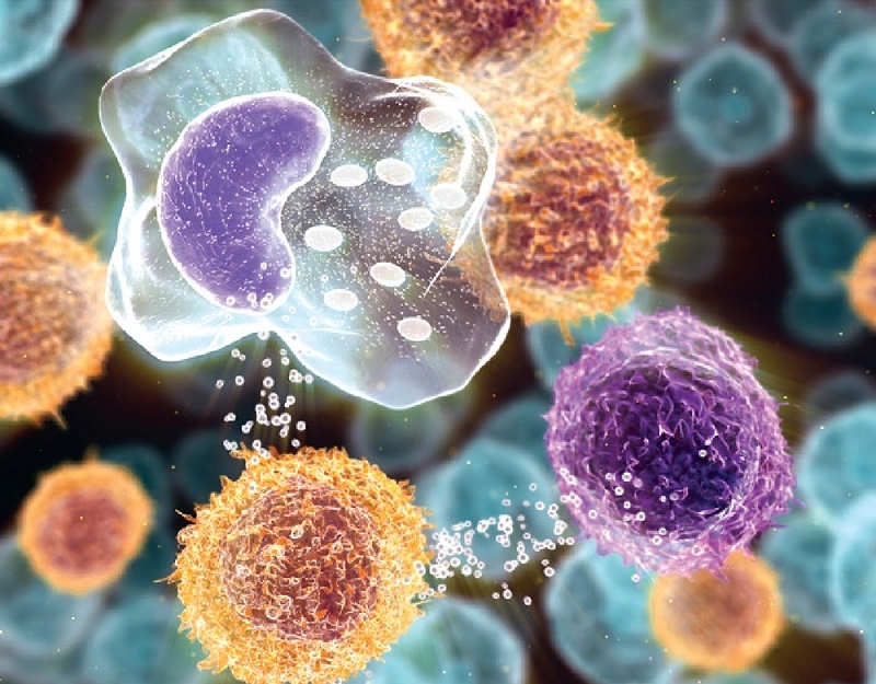 Lupus ban đỏ và bệnh tự miễn có khác nhau không? 1