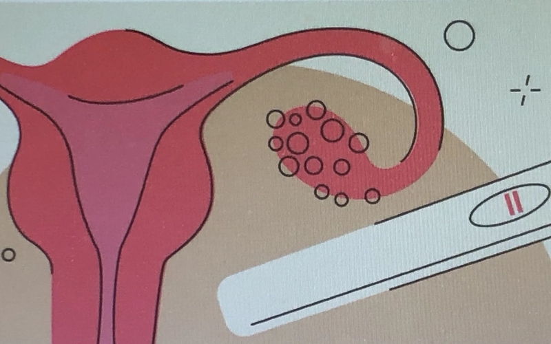 luteal-phase-la-gi-y-nghia-cua-luteal-phase-voi-ket-qua-mang-thai 3.jpg