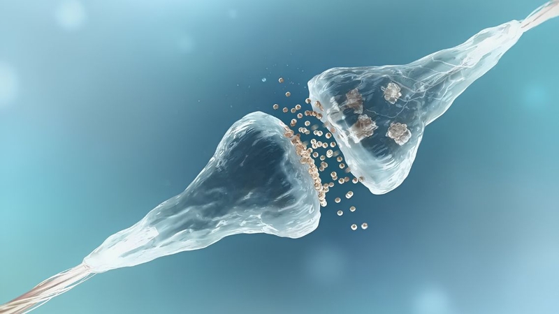 Luteolin có đặc tính chống oxy hóa đang được nghiên cứu quan tâm