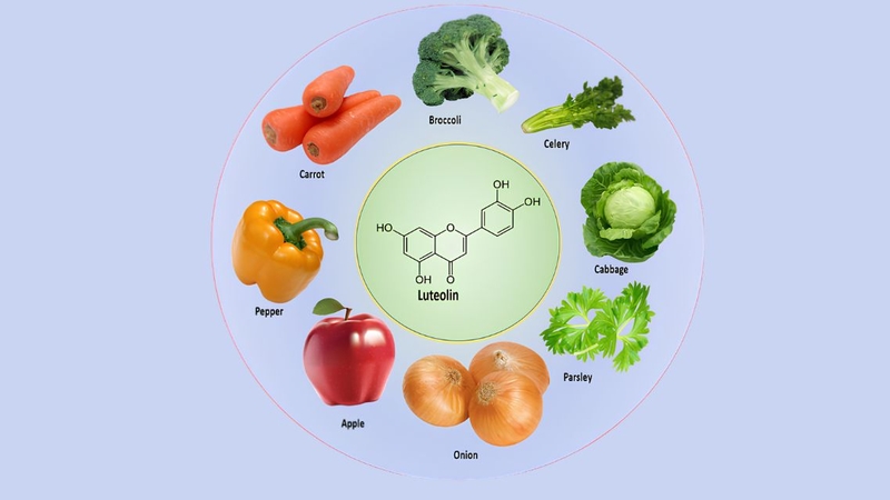 Luteolin là flavonoid tự nhiên có trong nhiều loại rau, thảo mộc và trái cây