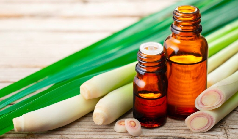 Lưu ngay cách đuổi muỗi bằng sả vừa hiệu quả vừa thơm nhà 2