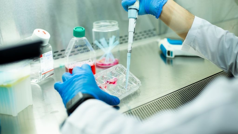 Đây là phương pháp y khoa hiện đại được nhiều người biết đến