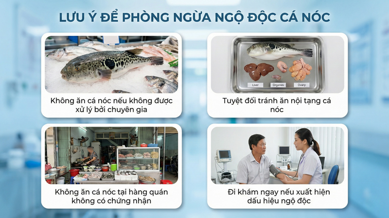 Lưu ý để phòng ngừa ngộ độc cá nóc