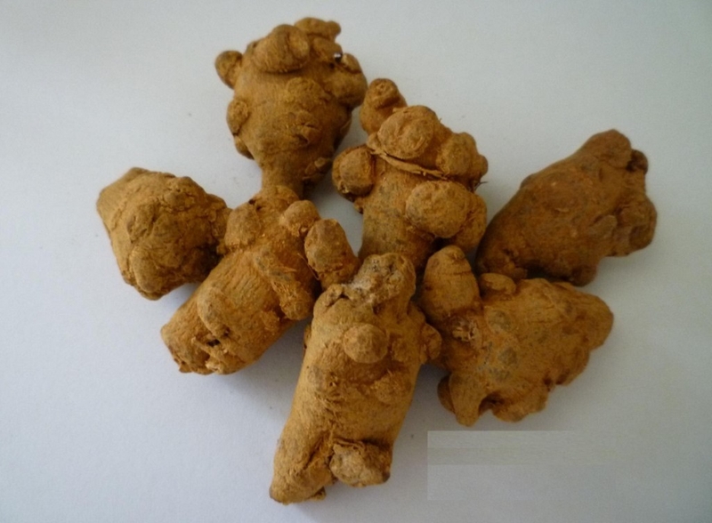 Tại sao nói phức hệ nano FGC có tầm quan trọng đặc biệt trong điều trị ung thư 1