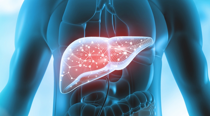 Lý do khiến bạn phải tự tìm cách giải độc gan tại nhà 1
