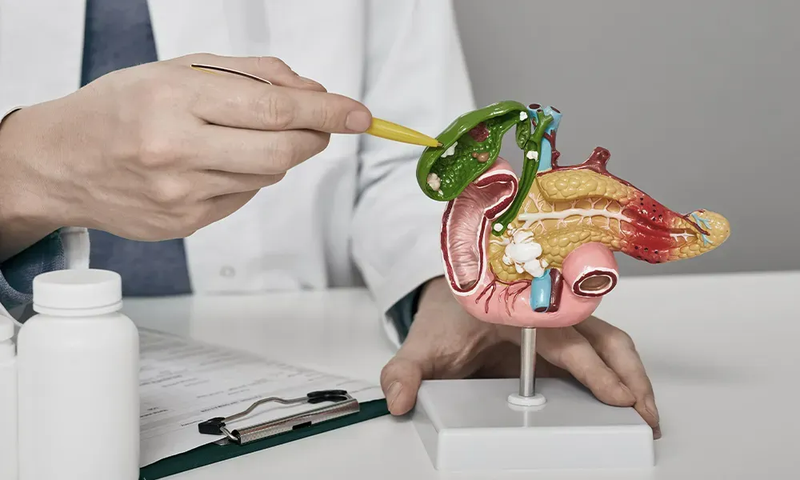 Lý giải nguyên nhân vì sao túi mật bị xẹp1