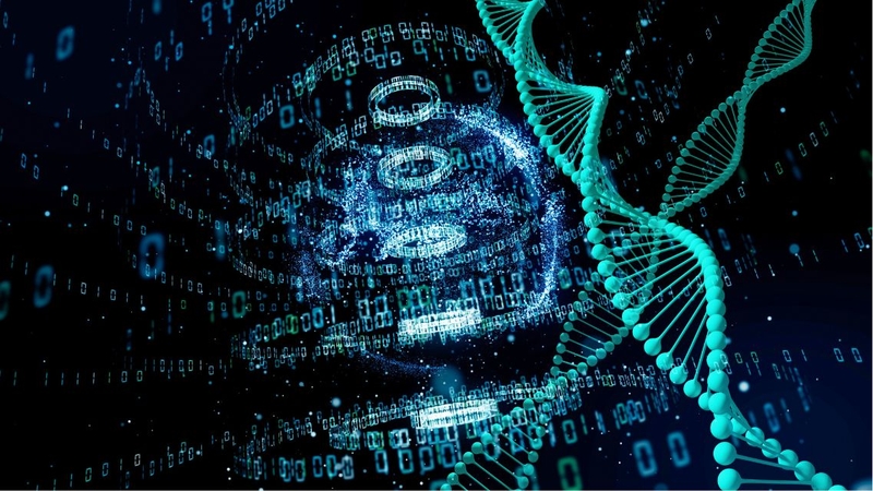 Mã di truyền là gì? “Giải mã” ngôn ngữ bí ẩn của sự sống 1