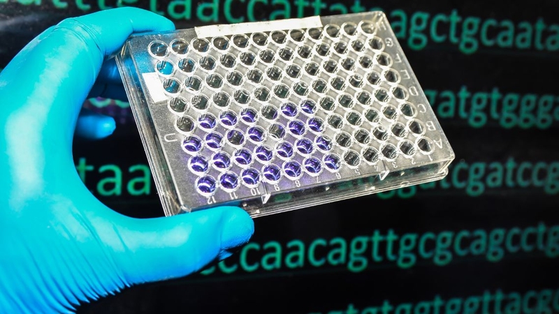 Mã di truyền là gì? “Giải mã” ngôn ngữ bí ẩn của sự sống 2