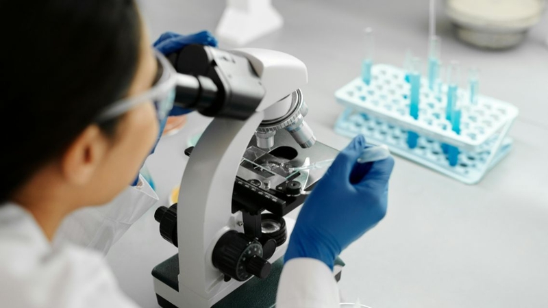 Mã di truyền là gì? “Giải mã” ngôn ngữ bí ẩn của sự sống 3