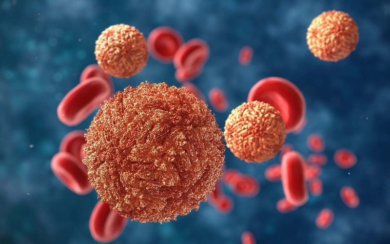 Mắc bệnh sốt xuất huyết có được uống panadol extra không? 1