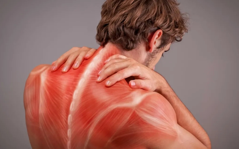 Mạc cơ là gì? Bật mí một số cách đơn giản giúp mạc cơ luôn khỏe mạnh 1